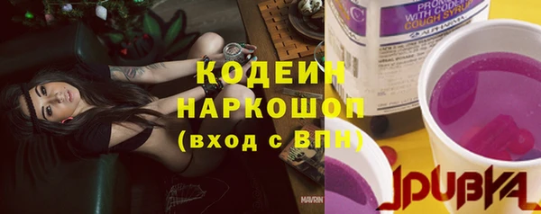 дмт Рославль